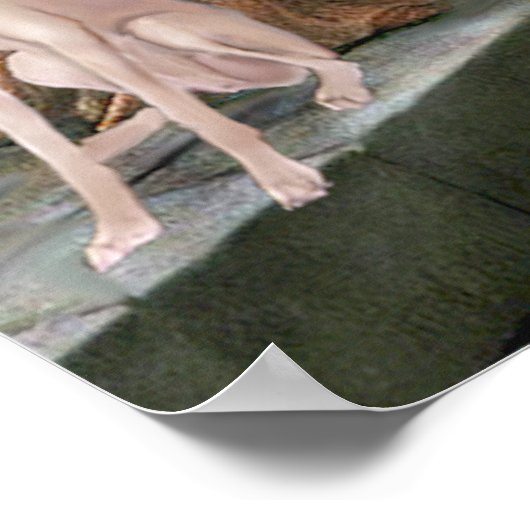 Greyhound (Farm 2) - The Accolade Poster (Ecke)