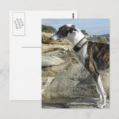Greyhound Fotografen Postkarte (Vorne/Hinten)