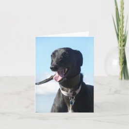 Greyhound-Fotokarte (p11) Karte