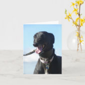 Greyhound-Fotokarte (p11) Karte (Gelbe Blume)