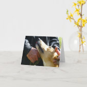 Greyhound-Fotokarte (p284) Karte (Gelbe Blume)