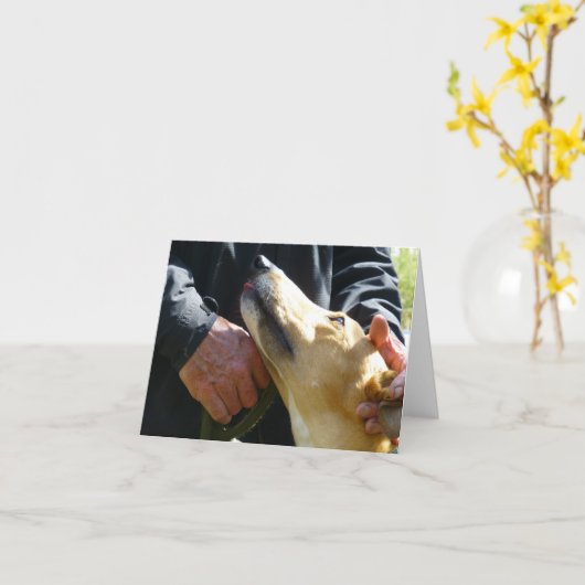 Greyhound-Fotokarte (p284) Karte (Gelbe Blume)