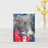 Greyhound-Fotokarte (p290) Karte (Gelbe Blume)