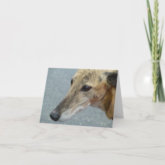 Greyhound-Fotokarte (p291) Karte (Vorderseite)