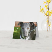 Greyhound-Fotokarte (p4) Karte (Gelbe Blume)