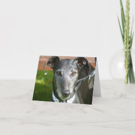 Greyhound-Fotokarte (p4) Karte