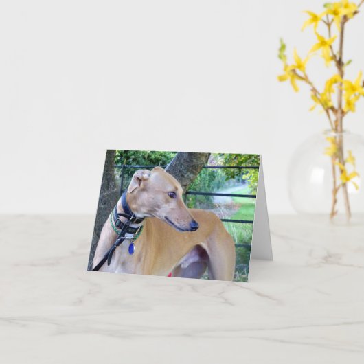 Greyhound-Fotokarte (p9) Karte (Gelbe Blume)