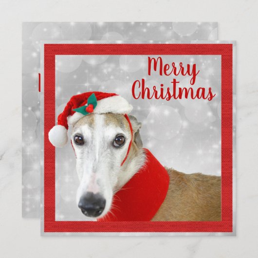 Greyhound Frohe Weihnachten (Vorne/Hinten)