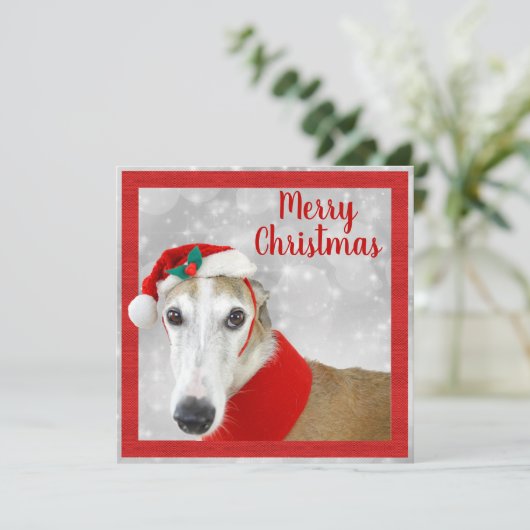 Greyhound Frohe Weihnachten (Stehend Vorderseite)
