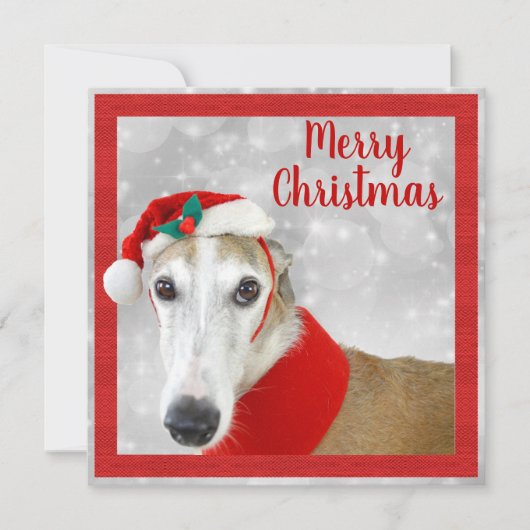 Greyhound Frohe Weihnachten (Vorderseite)