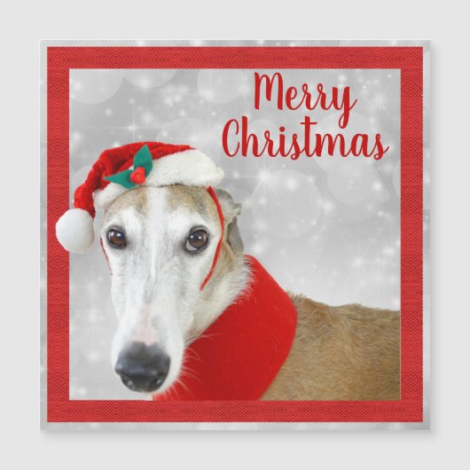 Greyhound Frohe Weihnachten Magnetkarte (Vorderseite)