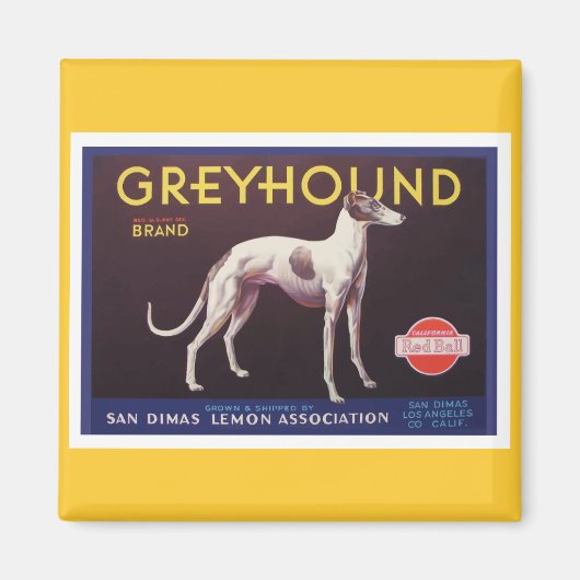 Greyhound Fruchtkäfigkennzeichnung Magnet (Vorne)