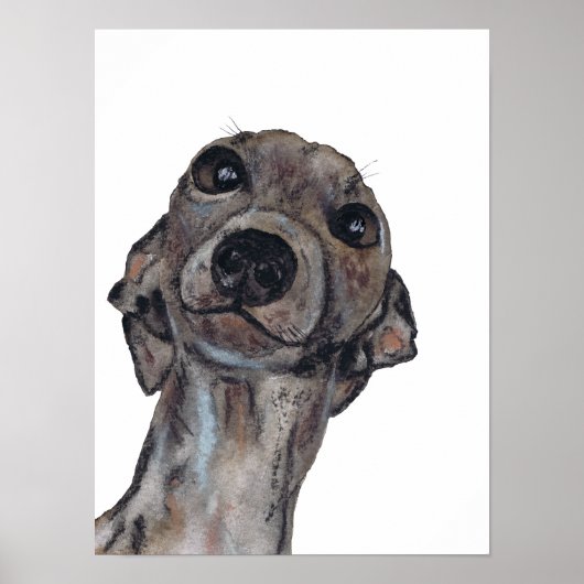 GREYHOUND g909 Poster (Vorne)