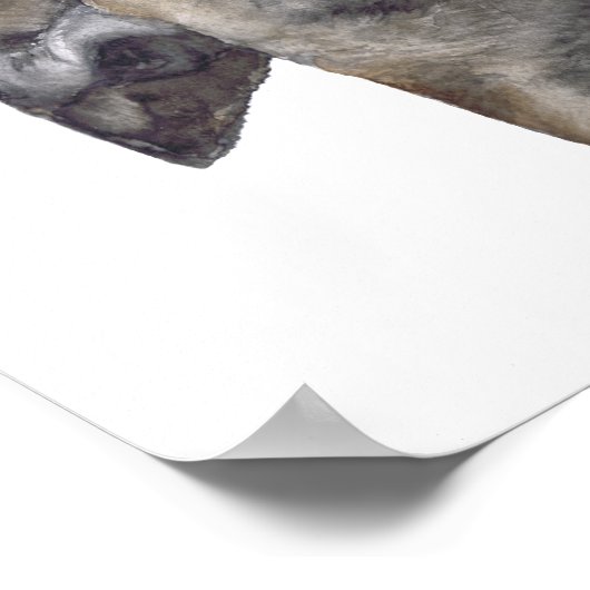 GREYHOUND g918 Poster (Ecke)