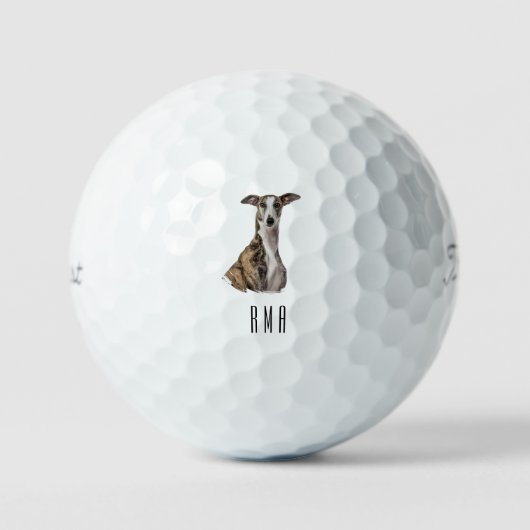 Greyhound Golfball (Vorderseite)