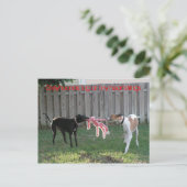 Greyhound Herzsaiten Postkarte (Stehend Vorderseite)
