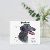 Greyhound History Design Postkarte (Stehend Vorderseite)