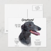 Greyhound History Design Postkarte (Vorne/Hinten)
