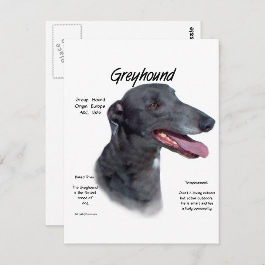 Greyhound History Design Postkarte (Vorne/Hinten)