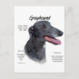 Greyhound History Design Postkarte