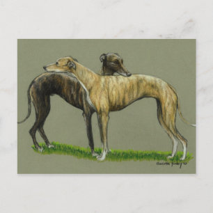 "Greyhound Hug" Hund Art Postkarte