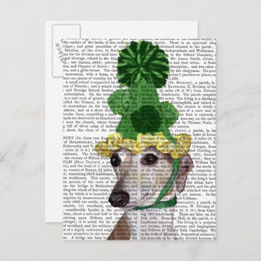 Greyhound in Grüner Nylonhut 2 Postkarte (Vorne/Hinten)