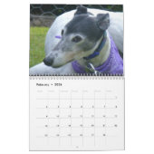 Greyhound Kalender (Feb 2026)