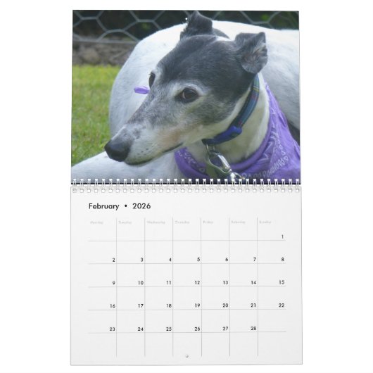 Greyhound Kalender (Feb 2026)