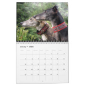 Greyhound Kalender (Jan 2026)