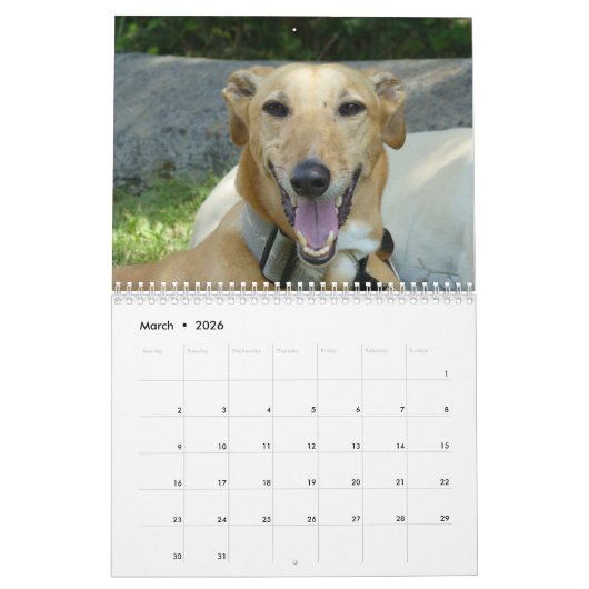 Greyhound Kalender (Mär 2026)