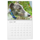 Greyhound Kalender (Jan 2027)