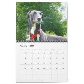 Greyhound Kalender (Feb 2027)
