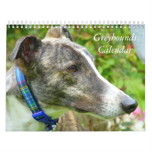 Greyhound Kalender (Titelbild)