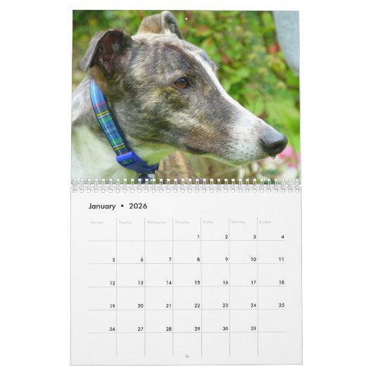 Greyhound Kalender (Jan 2026)