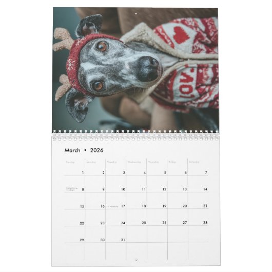 Greyhound Kalender (Mär 2026)