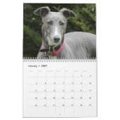 Greyhound Kalender (Jan 2027)