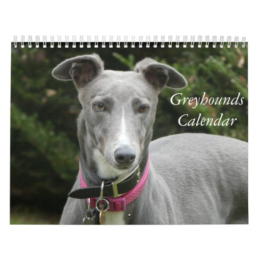 Greyhound Kalender (Titelbild)