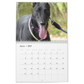 Greyhound Kalender (Mär 2027)