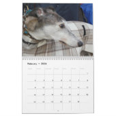 Greyhound Kalender (Feb 2026)