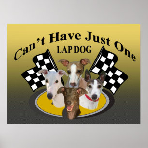 Greyhound kann nicht nur ein Laptop haben Poster