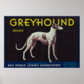 Greyhound Lemon LabelSan Dimas, CA Poster (Vorne)