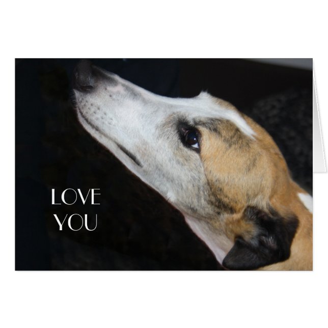 Greyhound Liebe You Card (Vorderseite (Horizontal))