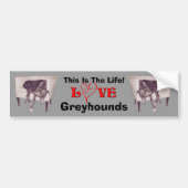 Greyhound Love This Is The Life Cute  Autoaufkleber (Vorne)
