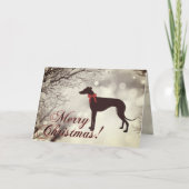 Greyhound Merry Christmas Greeting Card Karte (Vorderseite)