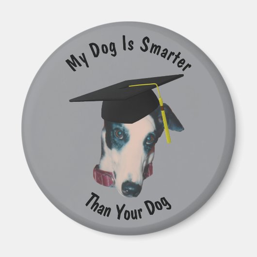 Greyhound My Dog Is Smarter Than Yours Funny Magnet (Vorne)