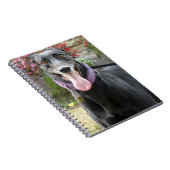 Greyhound-Notebook Notizblock (Rechte Seite)