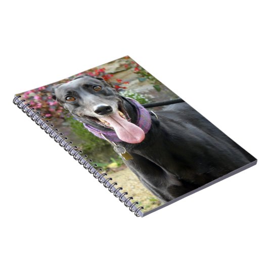 Greyhound-Notebook Notizblock (Rechte Seite)