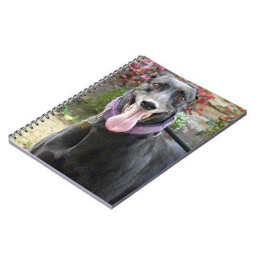 Greyhound-Notebook Notizblock (Linke Seite)
