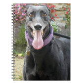 Greyhound-Notebook Notizblock (Vorderseite)