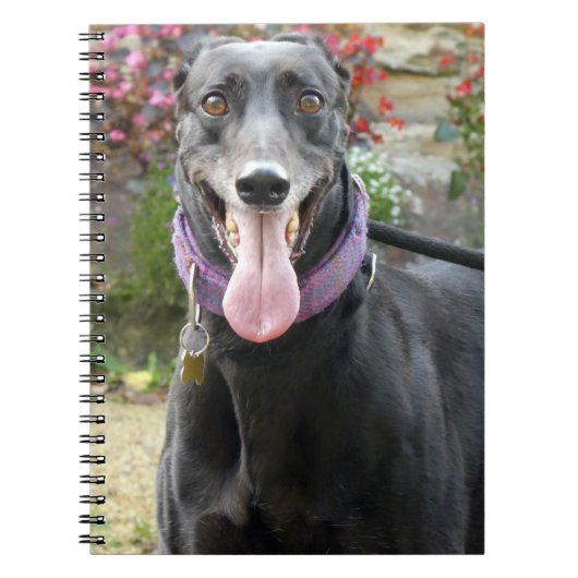 Greyhound-Notebook Notizblock (Vorderseite)